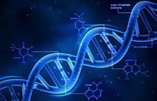 克隆技術 從喧囂到沉寂，科學家的解答揭示深層原因